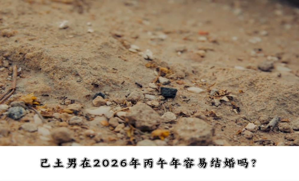 己土男在2026年丙午年容易结婚吗？