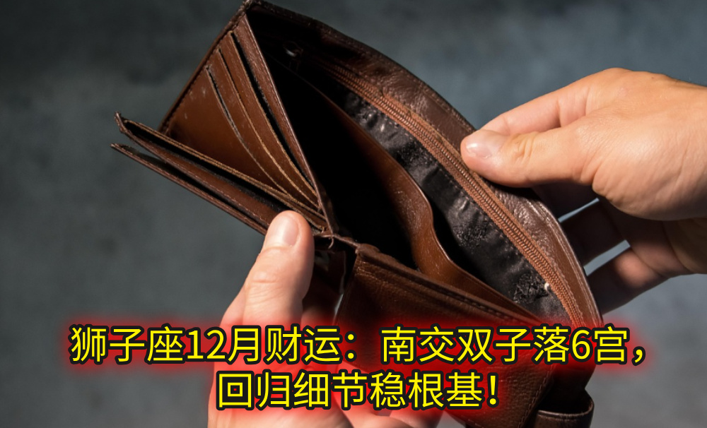 狮子座12月财运：南交双子落6宫，回归细节稳根基！