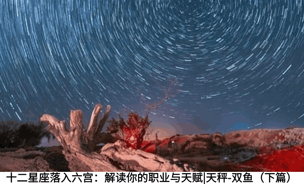 十二星座落入六宫：解读你的职业与天赋|天秤-双鱼（下篇）