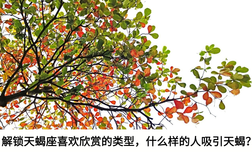 解锁天蝎座喜欢欣赏的类型，什么样的人吸引天蝎？