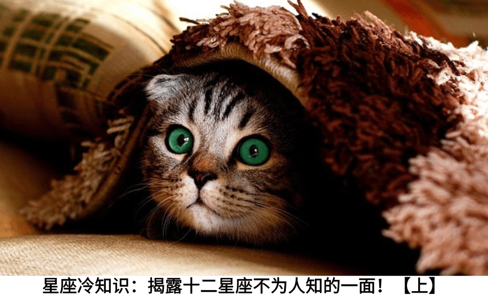 星座冷知识：揭露十二星座不为人知的一面！【上】