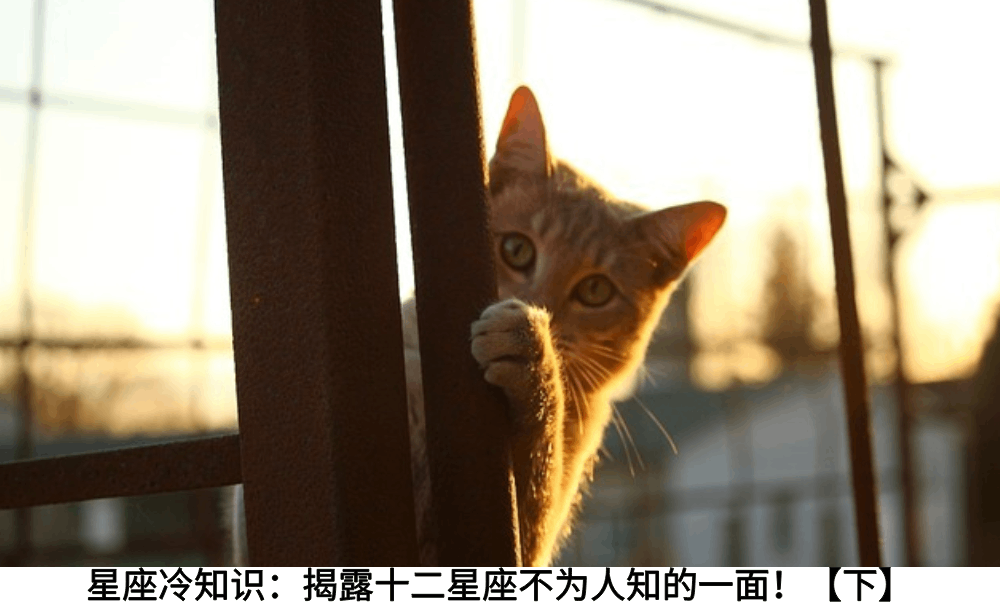 星座冷知识：揭露十二星座不为人知的一面！【下】