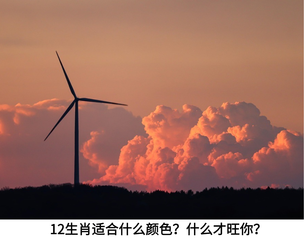 12生肖适合什么颜色？什么才旺你？
