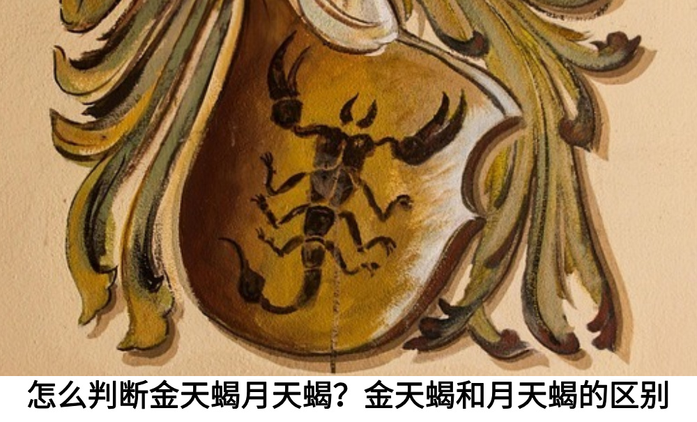 怎么判断金天蝎月天蝎？金天蝎和月天蝎的区别