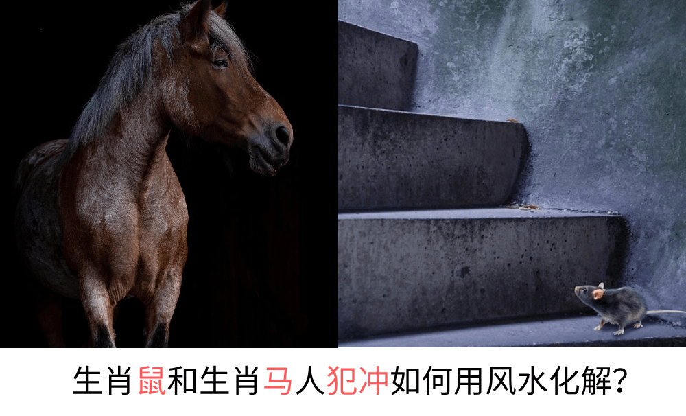 地支六冲：鼠与马生肖犯冲，该如何用风水化解？