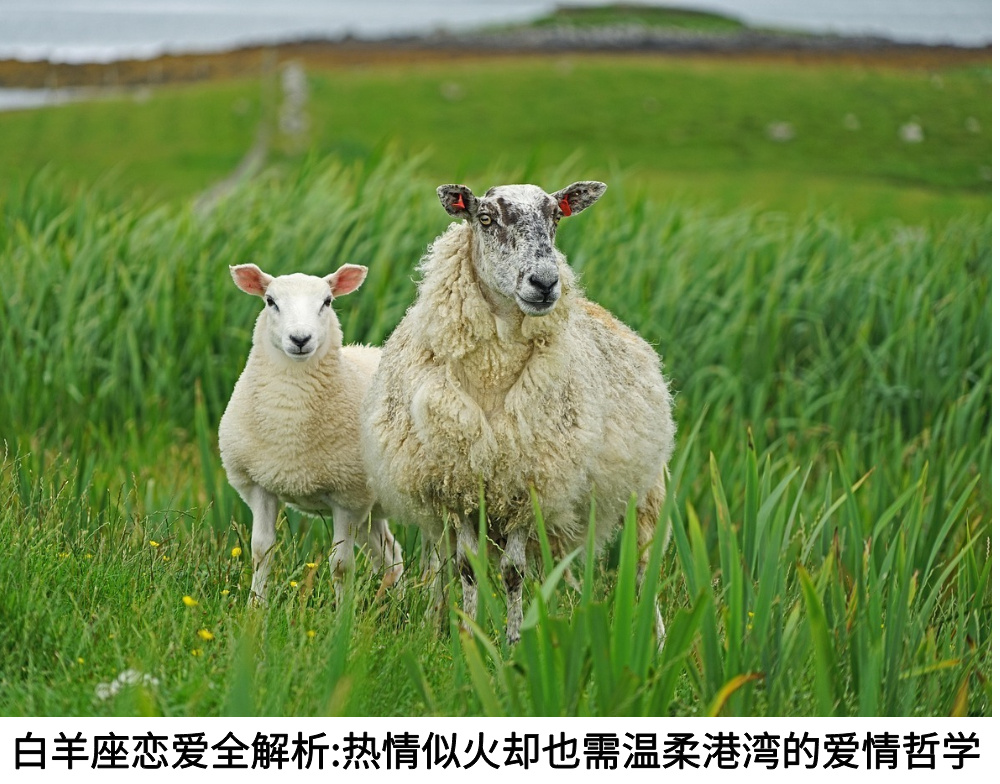 白羊座恋爱全解析:热情似火却也需温柔港湾的爱情哲学