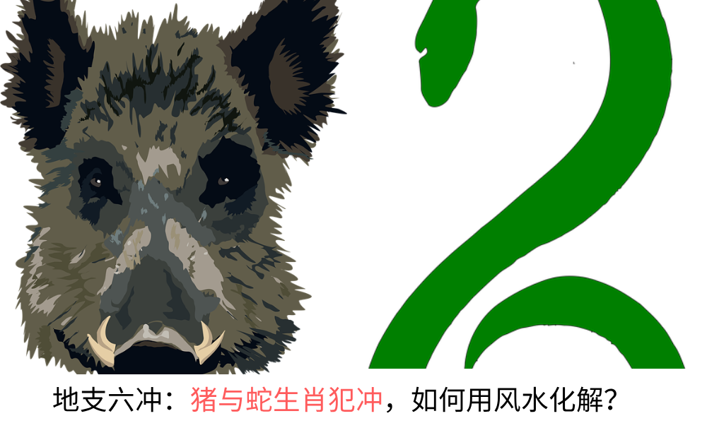 地支六冲：蛇与猪生肖犯冲，该如何用风水化解？