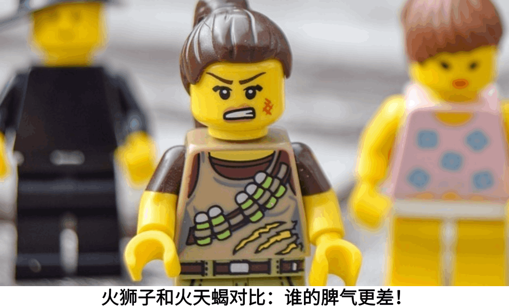 火狮子和火天蝎对比：谁的脾气更差！