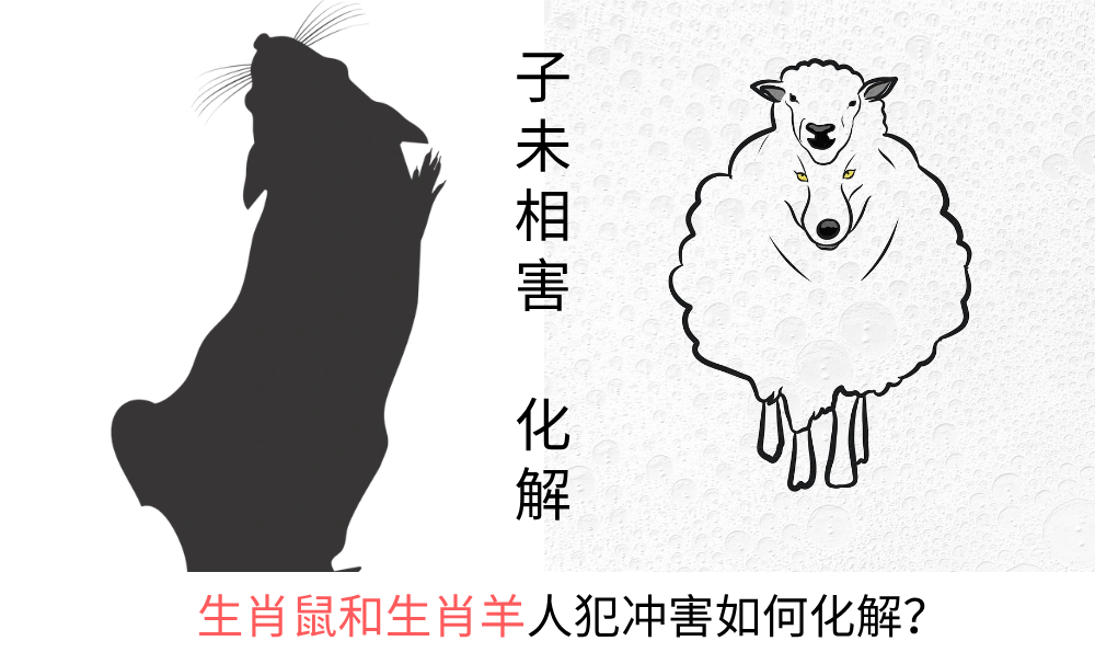 地支六害：生肖鼠和生肖羊人犯冲害如何化解？