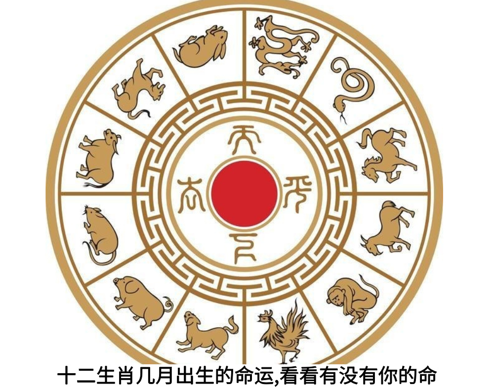 十二生肖几月出生的命运，看看有没有你的命