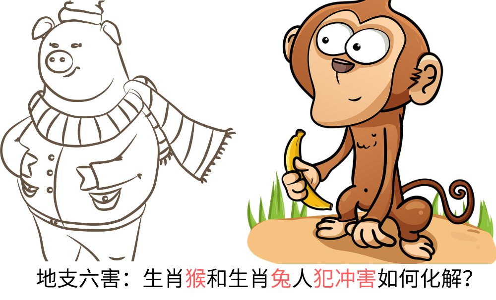 地支六害：生肖猴和生肖猪人犯冲害如何化解？