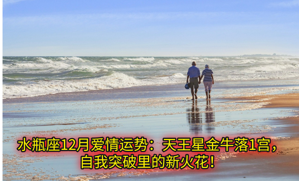 水瓶座12月爱情运势：天王星金牛落1宫，自我突破里的新火花！