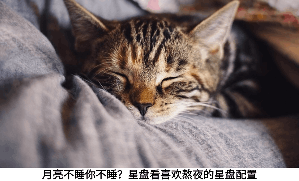 月亮不睡你不睡？星盘看喜欢熬夜的星盘配置