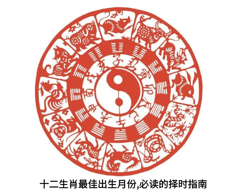 十二生肖最佳出生月份，必读的择时指南!