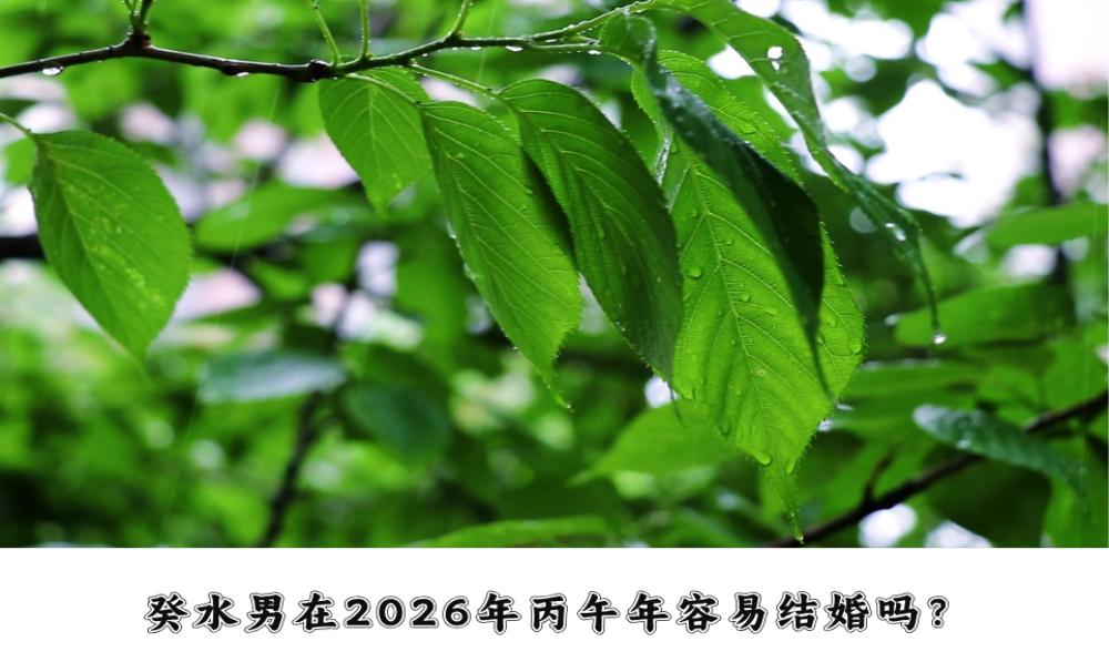 癸水男在2026年丙午年容易结婚吗？