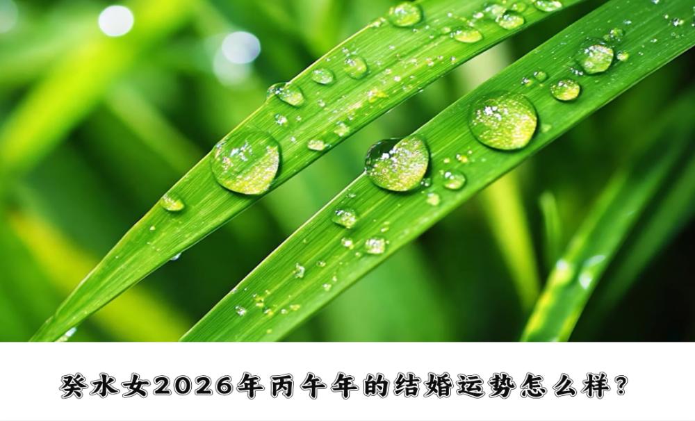 癸水女在2026年丙午年容易结婚吗？