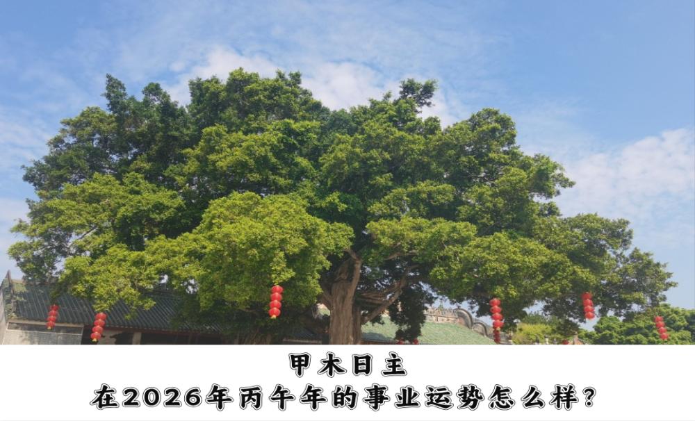 甲木日主在2026年丙午年的事业运势怎么样？