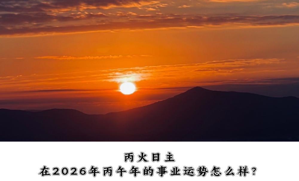 丙火日主在2026年丙午年的事业运势怎么样？