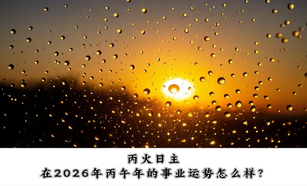 丙火日主在2026年丙午年的事业运势怎么样？