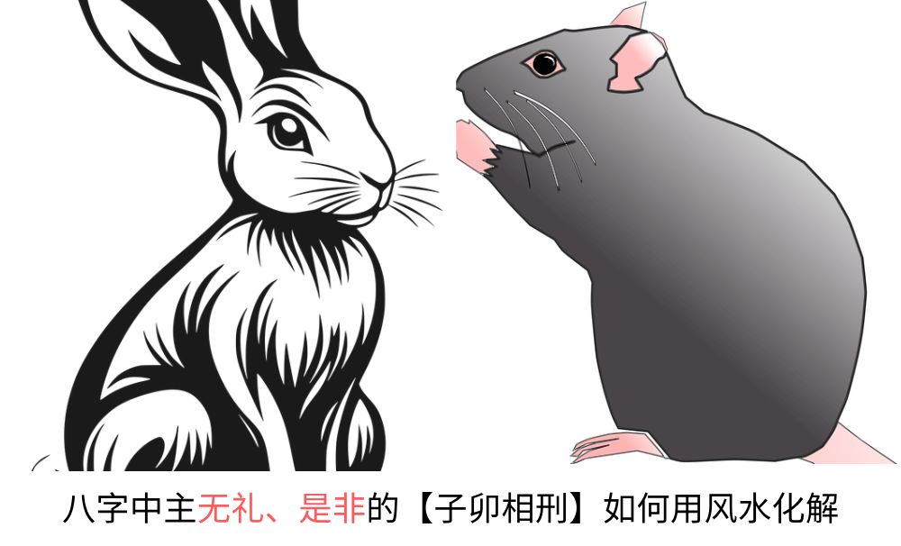 八字中主无礼、是非的【子卯相刑】如何用风水化解