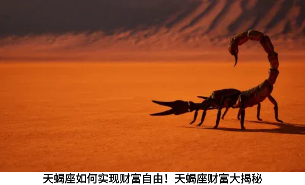 天蝎座如何实现财富自由！天蝎座财富大揭秘