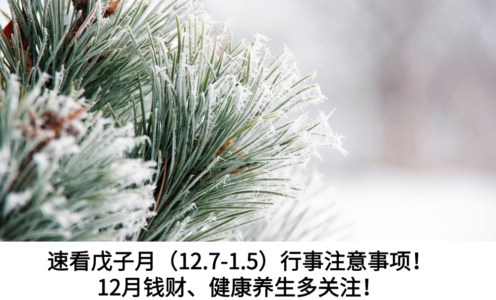 速看戊子月(12.7-1.5)行事注意事项!12月钱财、健康养生多关注!