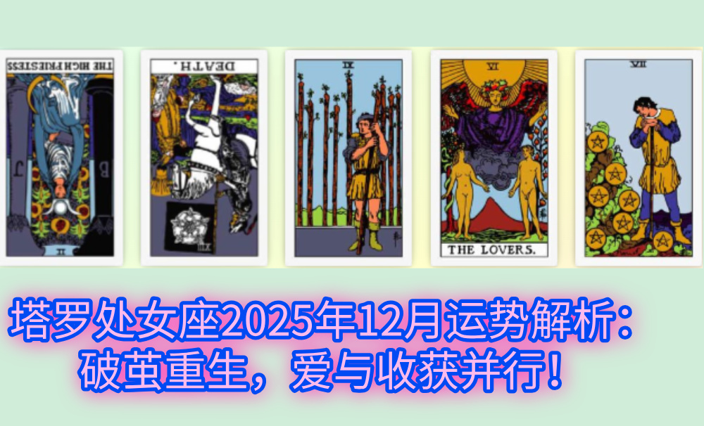 塔罗处女座2025年12月运势解析：破茧重生，爱与收获并行！