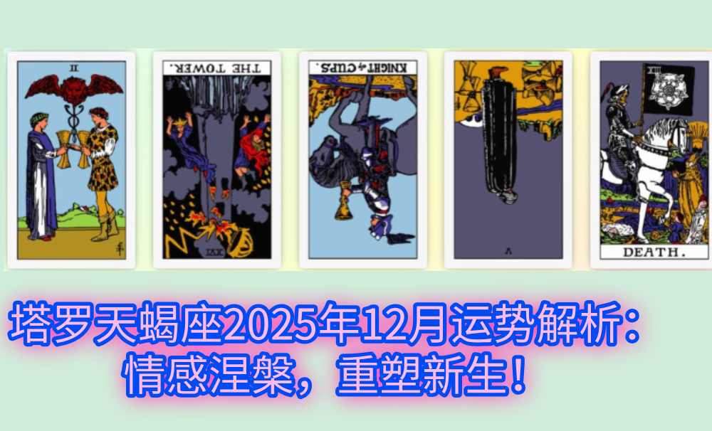 塔罗天蝎座2025年12月运势解析：情感涅槃，重塑新生！