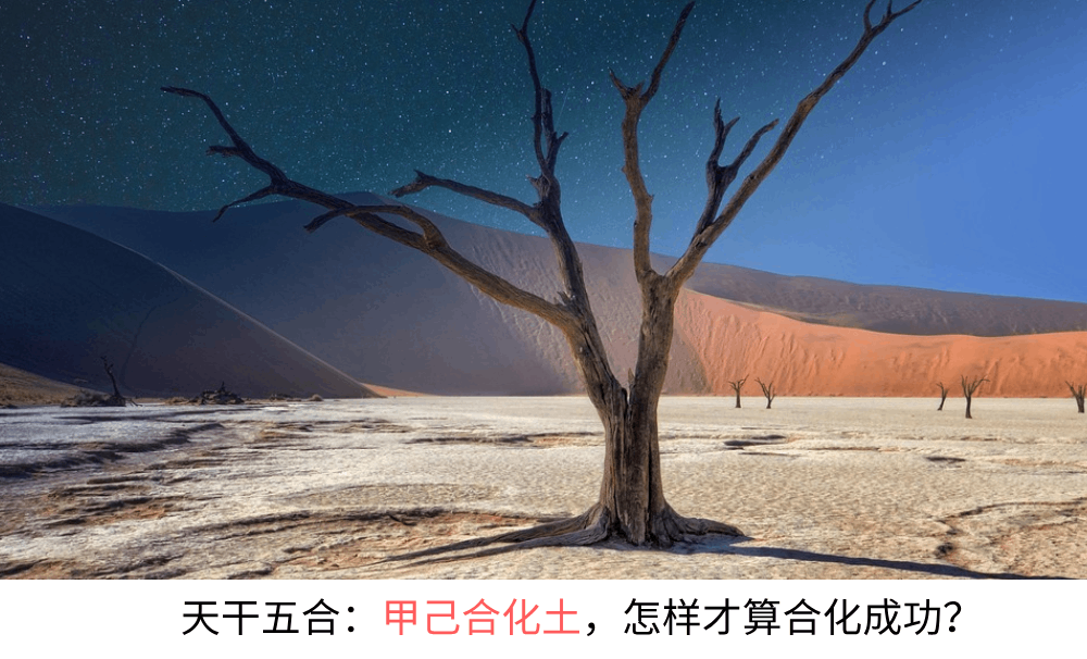 天干五合：甲己合化土，怎样才算合化成功？