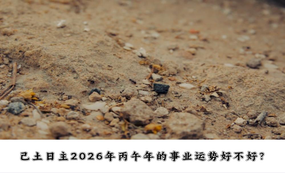 己土日主2026年丙午年的事业运势好不好？