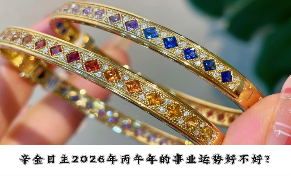 辛金日主2026年丙午年的事业运势好不好？