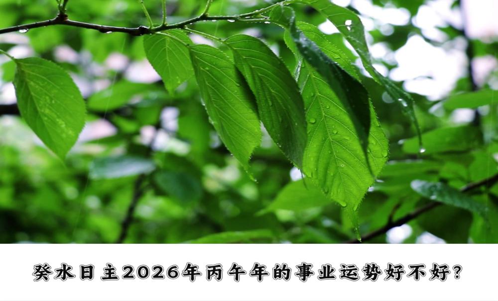 癸水日主2026年丙午年的事业运势好不好?