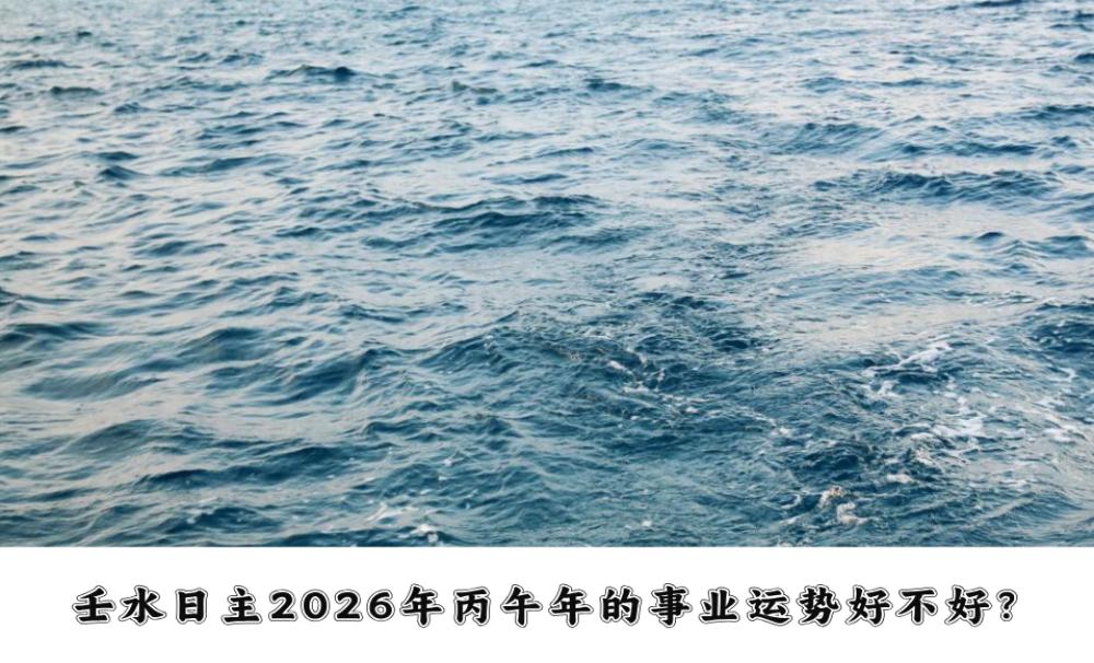壬水日主2026年丙午年的事业运势好不好？