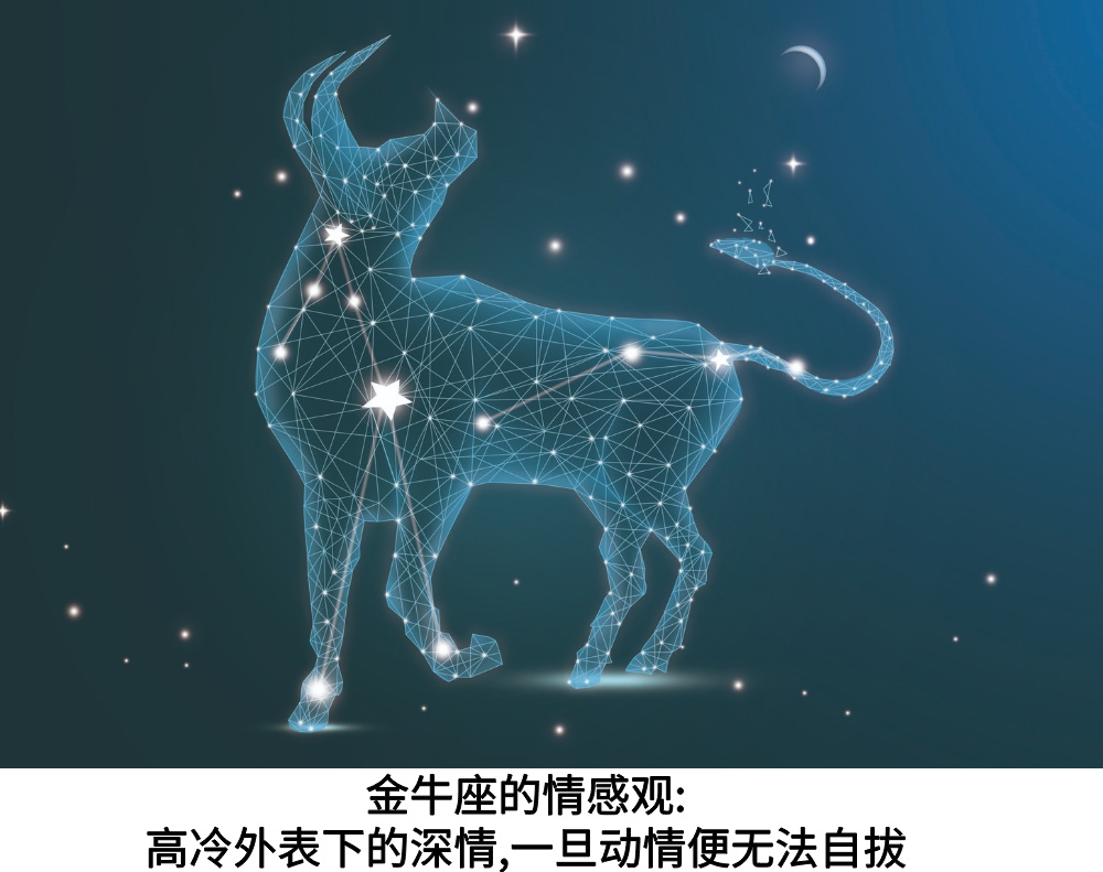 金牛座的情感观:高冷外表下的深情，一旦动情便无法自拔
