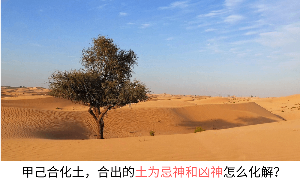 甲己合化土，合出的土为忌神和凶神怎么化解？