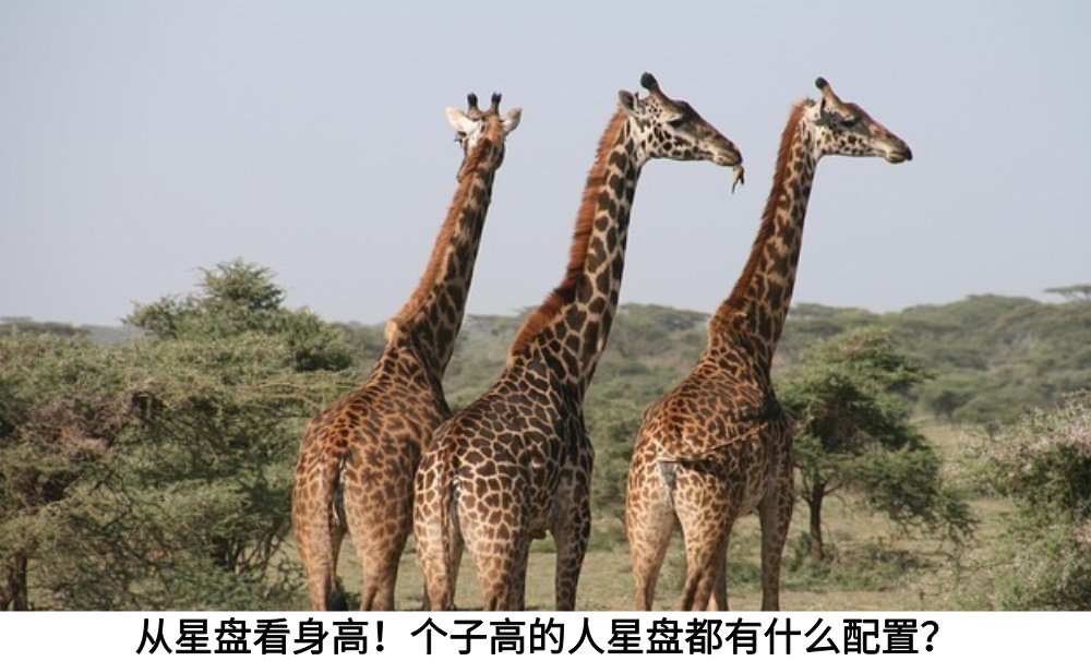 从星盘看身高！个子高的人星盘都有什么配置？