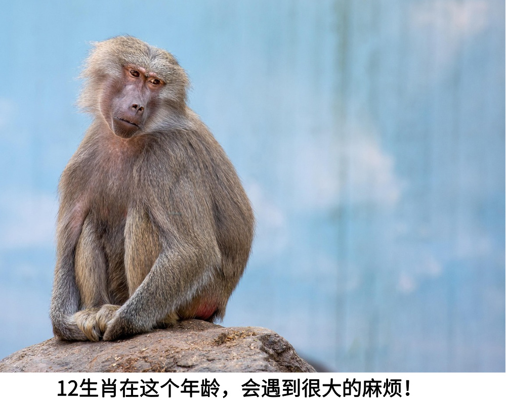 12生肖在这个年龄，会遇到很大的麻烦！
