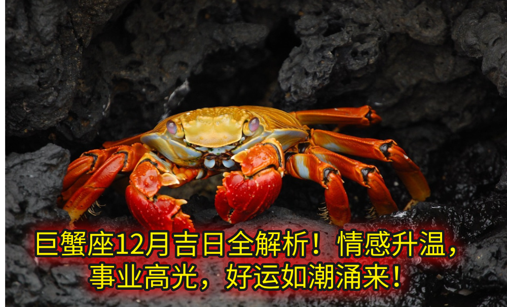 巨蟹座12月吉日全解析!情感升温,事业高光,好运如潮涌来!