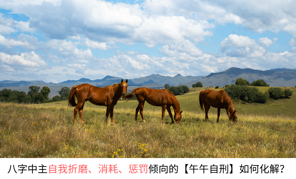 八字中主自我折磨、消耗、惩罚倾向的【午午自刑】如何化解