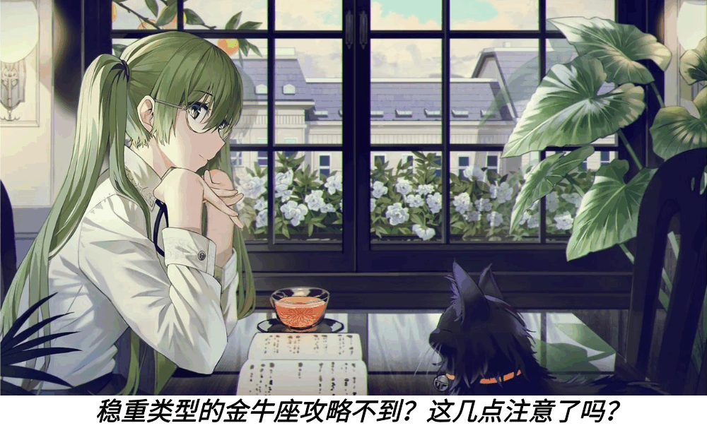 稳重类型的金牛座攻略不到？这几点注意了吗？