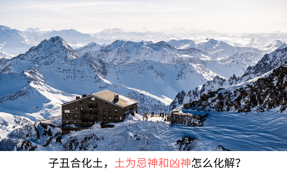 地支六合：子丑合化土，土为忌神和凶神怎么化解？