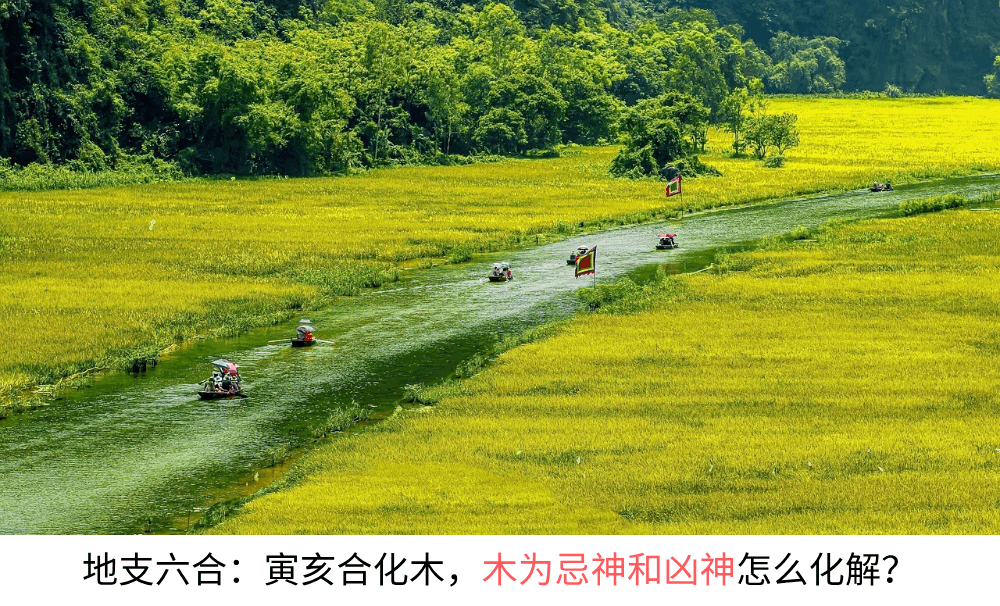 地支六合：寅亥合化木，木为忌神和凶神怎么化解？