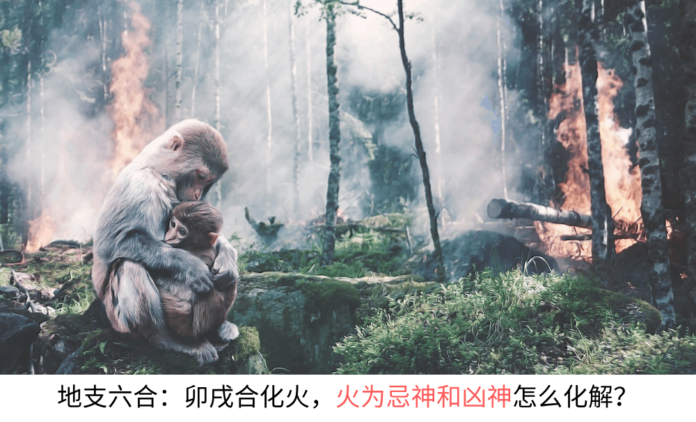 地支六合:子丑合化土,土为忌神和凶神怎么化解?