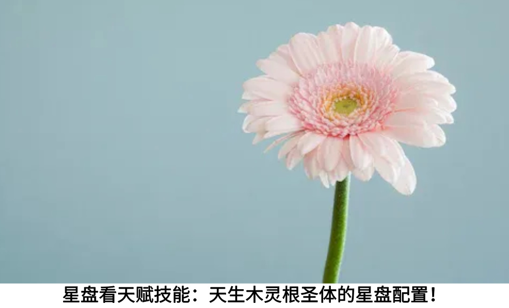 星盘看天赋技能：天生木灵根圣体的星盘配置！