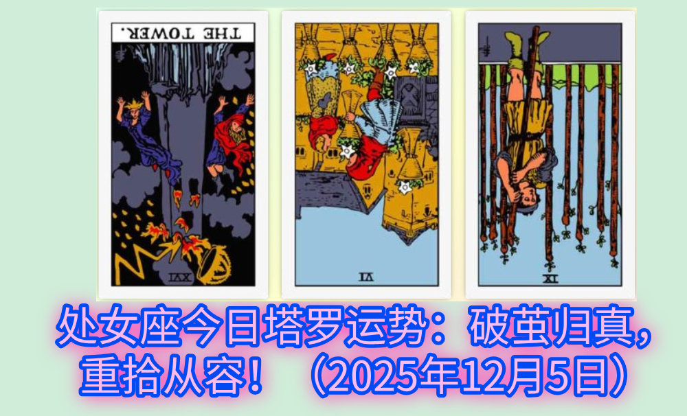 处女座今日塔罗运势:破茧归真,重拾从容!(2025年12月5日)