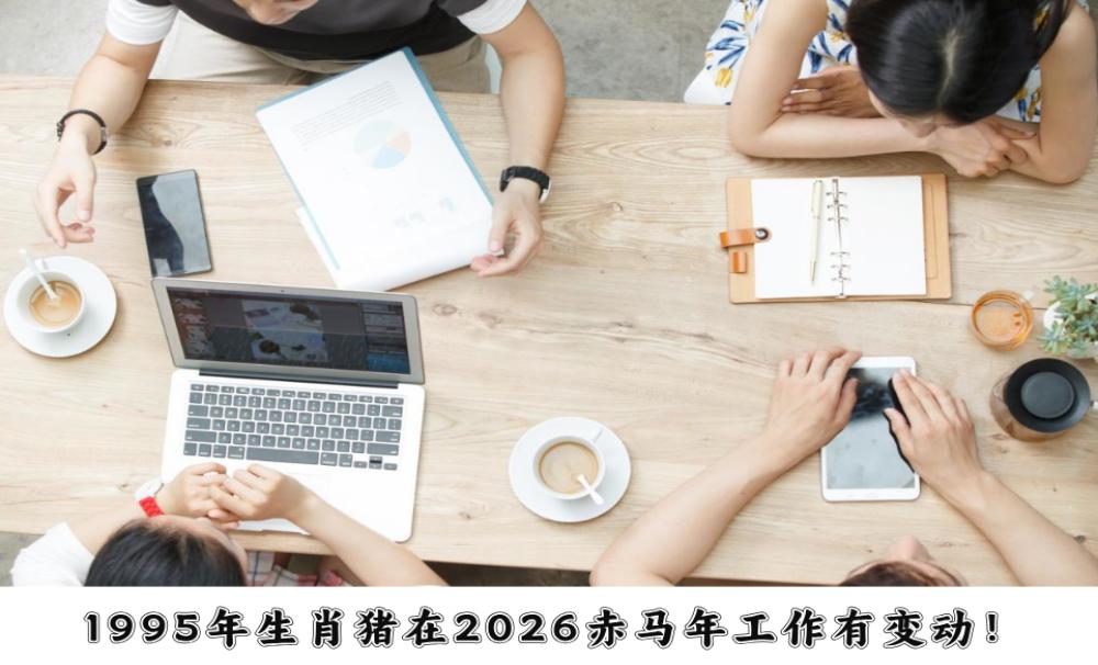 1995年乙亥猪,在2026赤马年工作有变动!