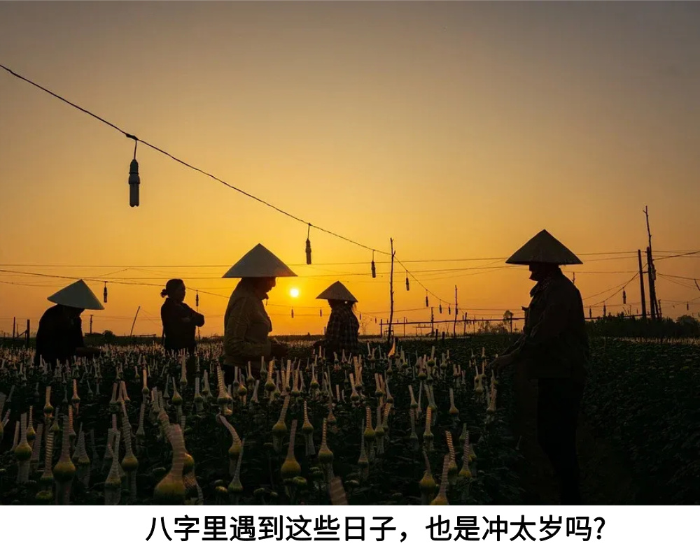 八字里遇到这些日子，也是冲太岁吗?