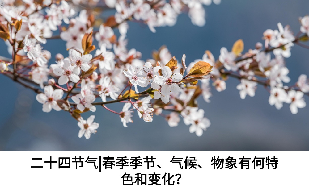 二十四节气春季季节、气候、物象有何特色和变化?