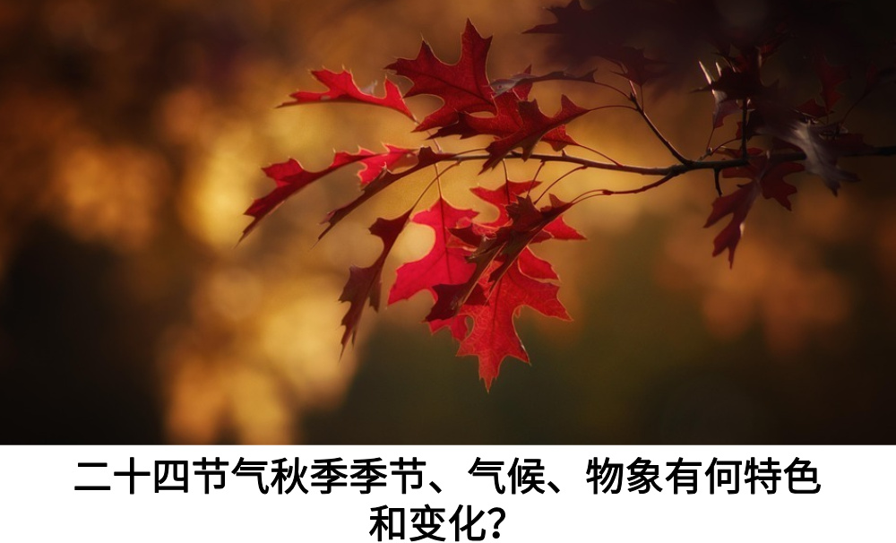 二十四节气秋季季节、气候、物象有何特色和变化？