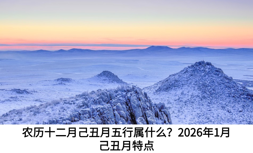 农历十二月己丑月五行属什么？2026年1月己丑月特点